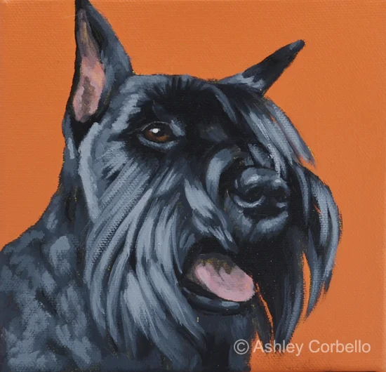 schnauzer.jpg