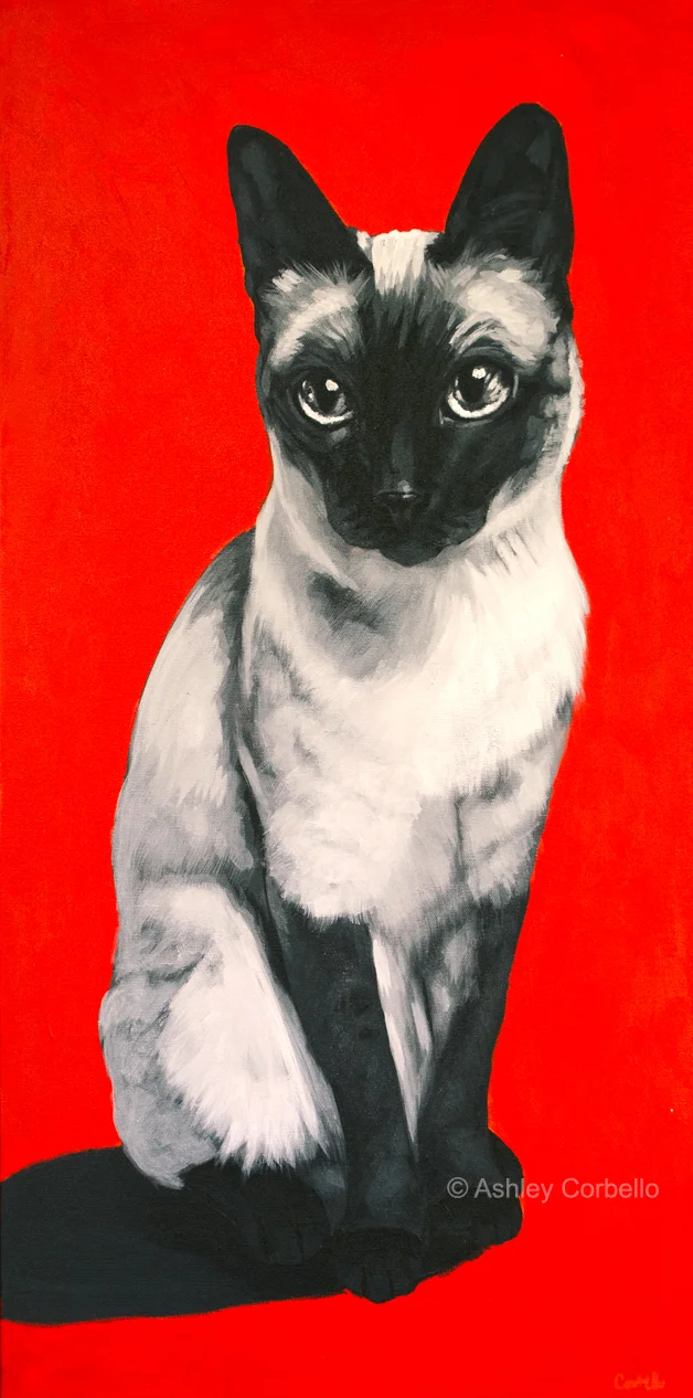 ashleycorbello_siamese_web.jpg
