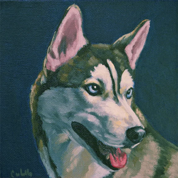 husky_AshleyCorbello.jpg