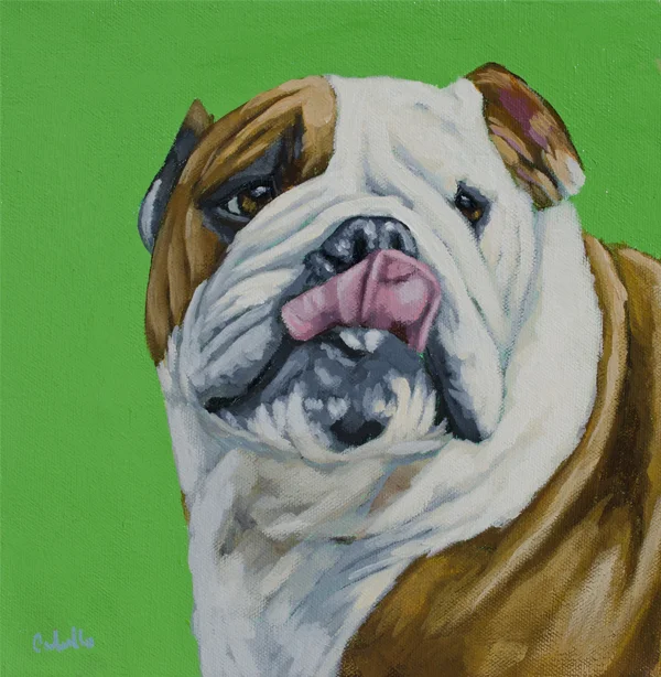 Bulldogsmall.jpg