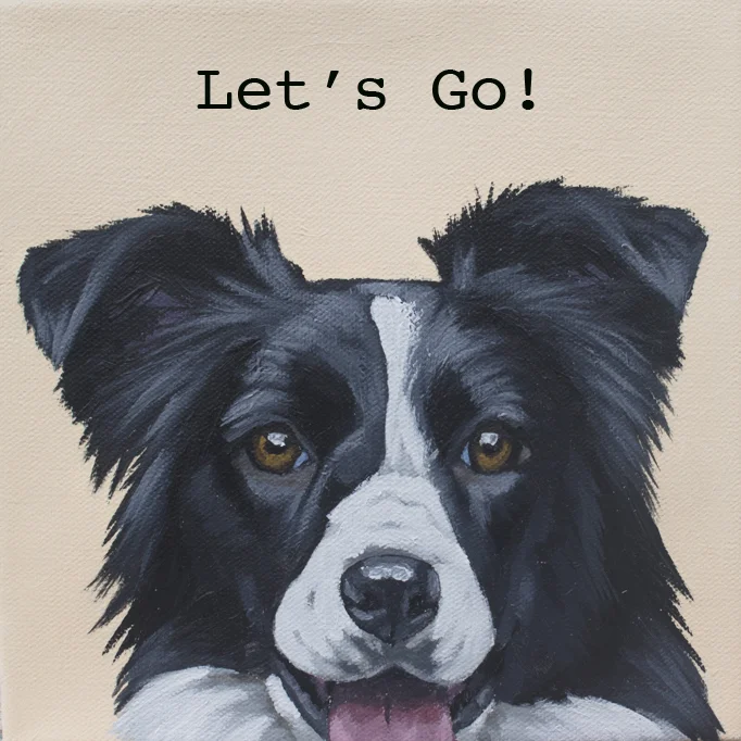 Corbello-Lets go border collie web res.jpg