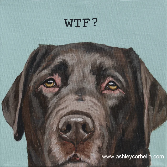 corbello-choc lab web.jpg