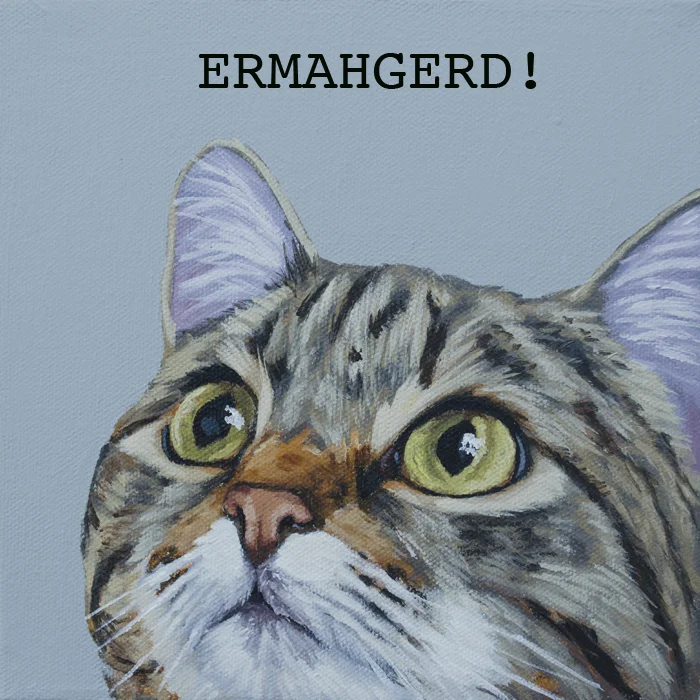 Corbello-ermahgerd cat web res.jpg