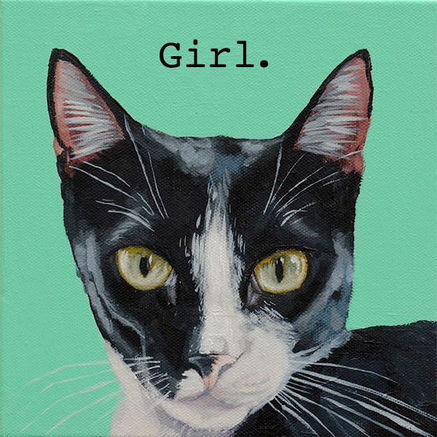 blackandwhitecat-web.jpg