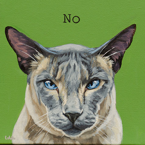 no-cat-web.jpg