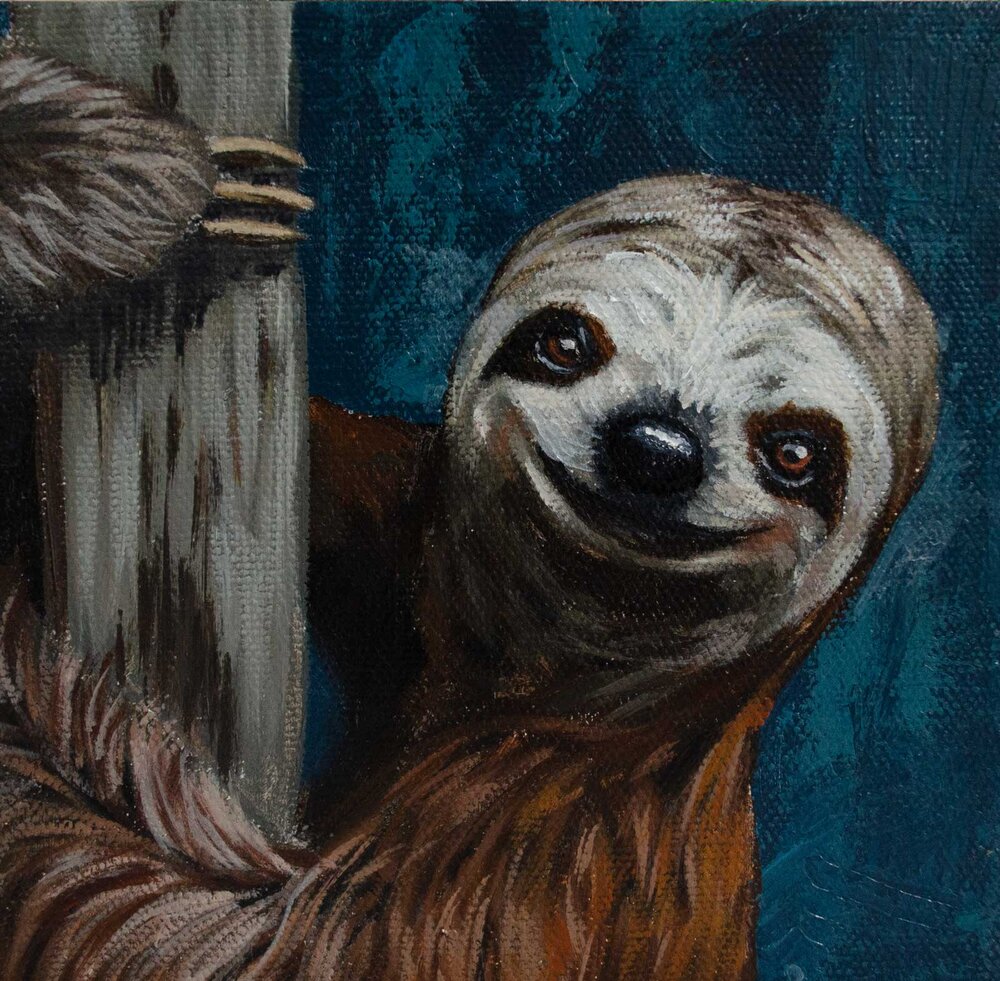 Tree Hugger - Sloth — Ashley Corbello Art - Kansas City Pet Portrait  Paintings
