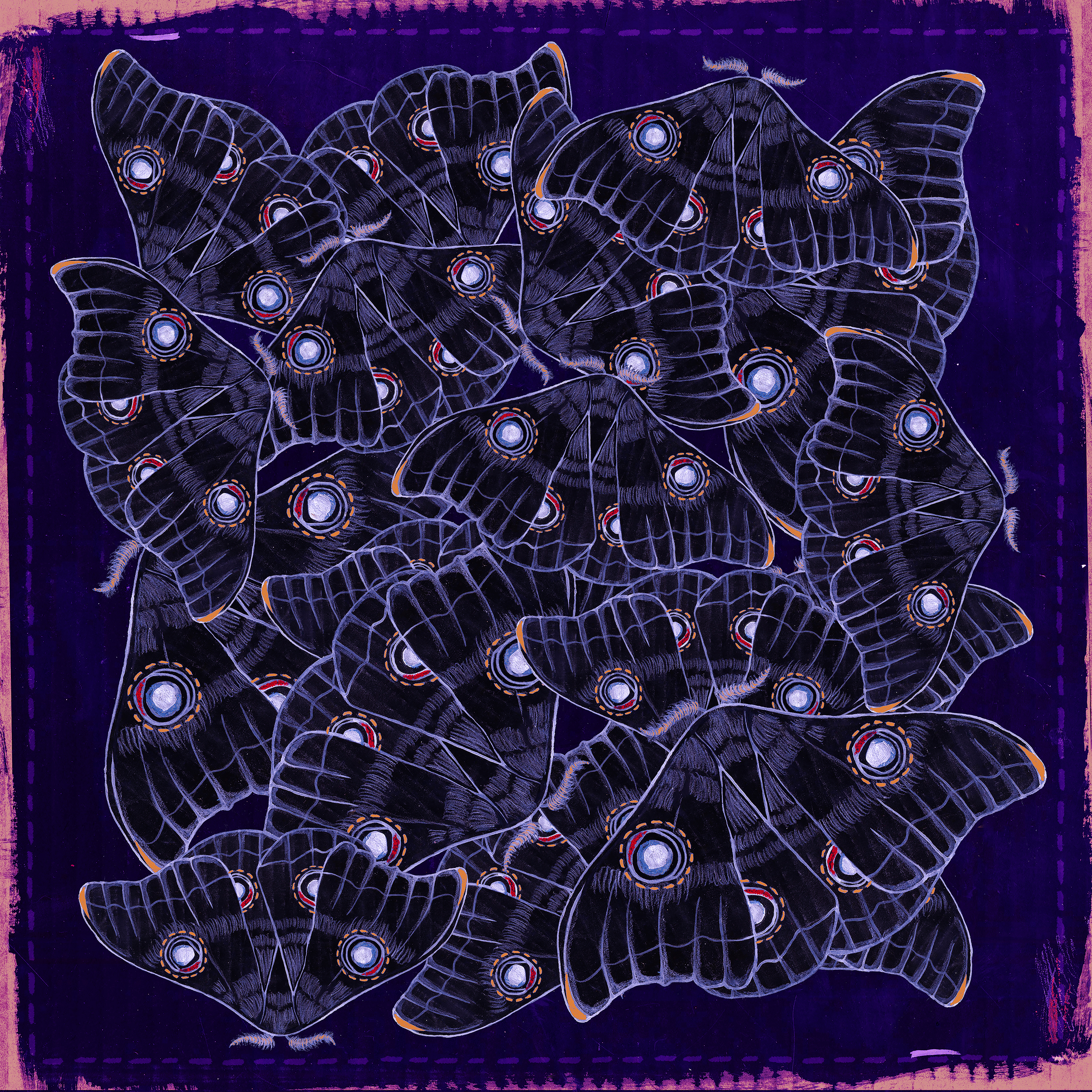 all over moths 3.jpg