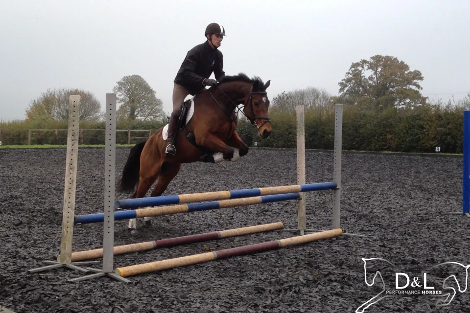 Solo Jumping November 2012.jpg