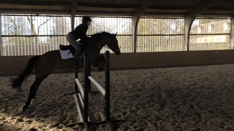 Paloma Jumping .jpg