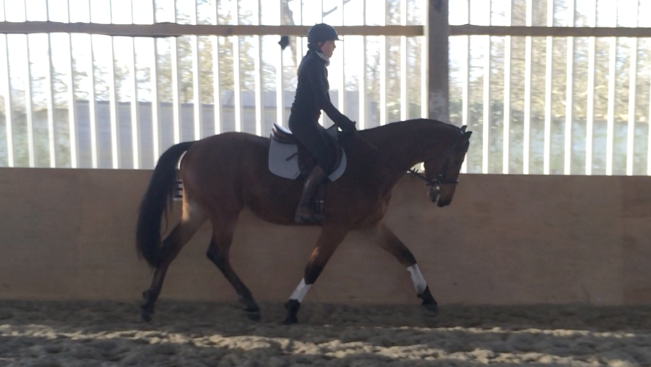 Lander Falt Dec 2014.png