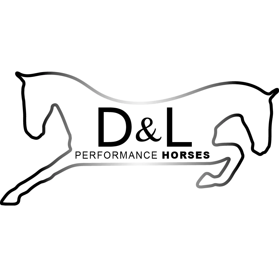 D&L Logo