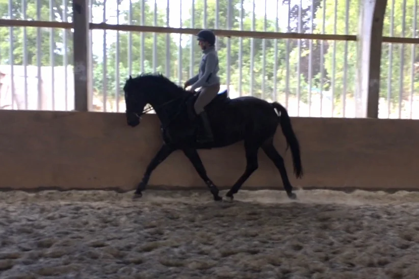 FullSizeRender (2).jpg