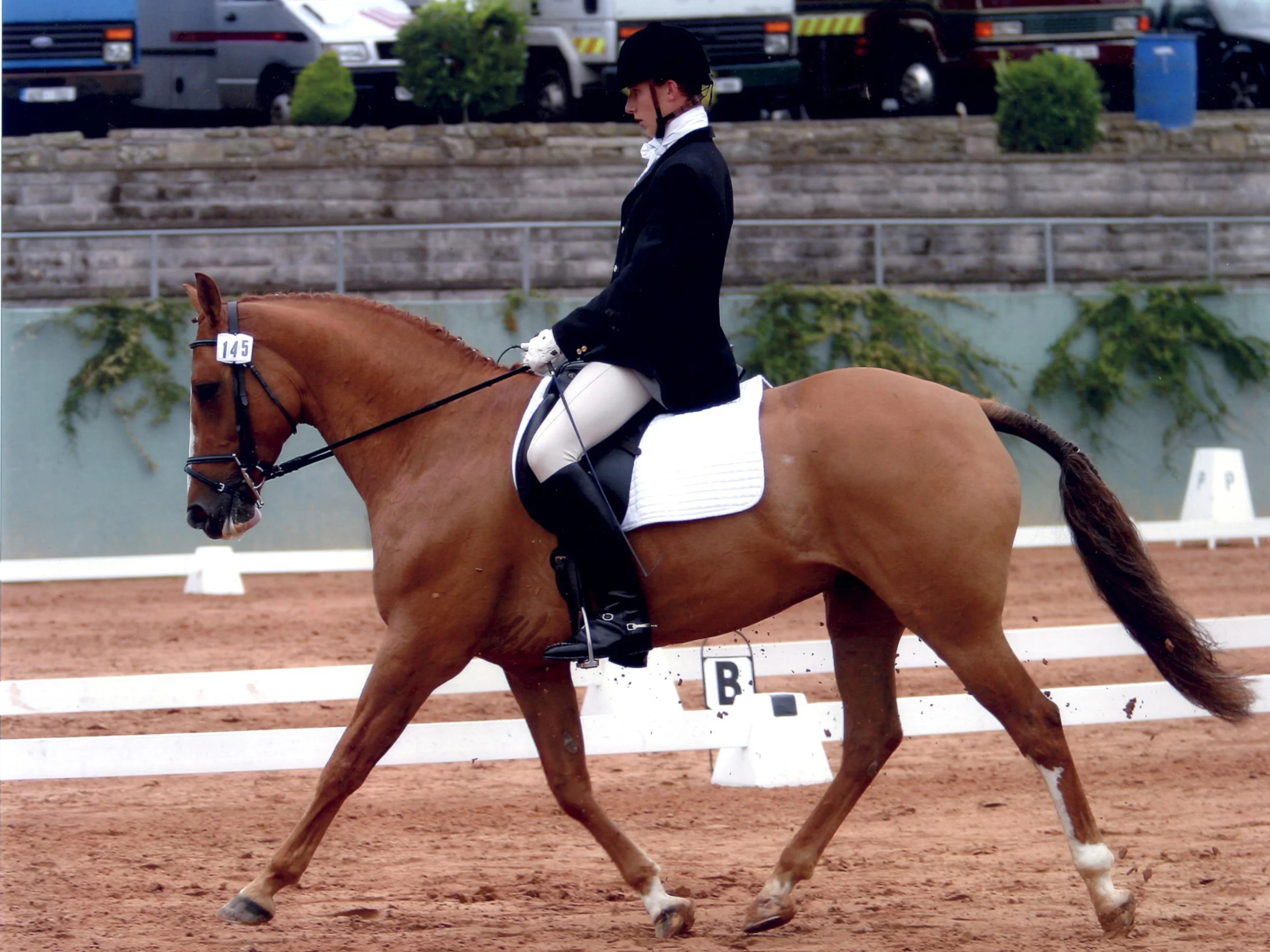 sam and 'george' at the silver spurs finals