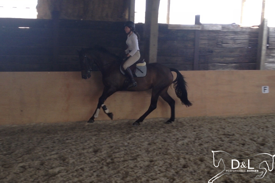 Enjoy Cantering June 2013.jpg