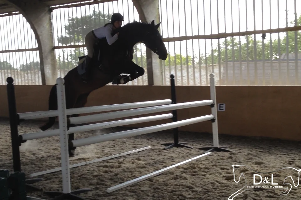 Enjoy Jumping June 2014 1.jpg