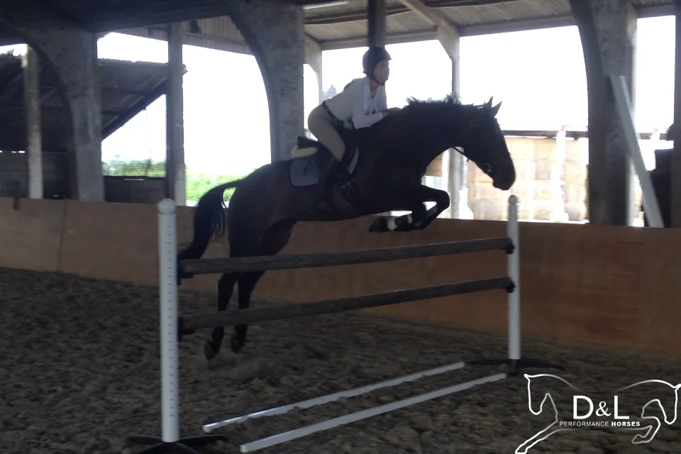 Enjoy Jumping June 2014 2.jpg