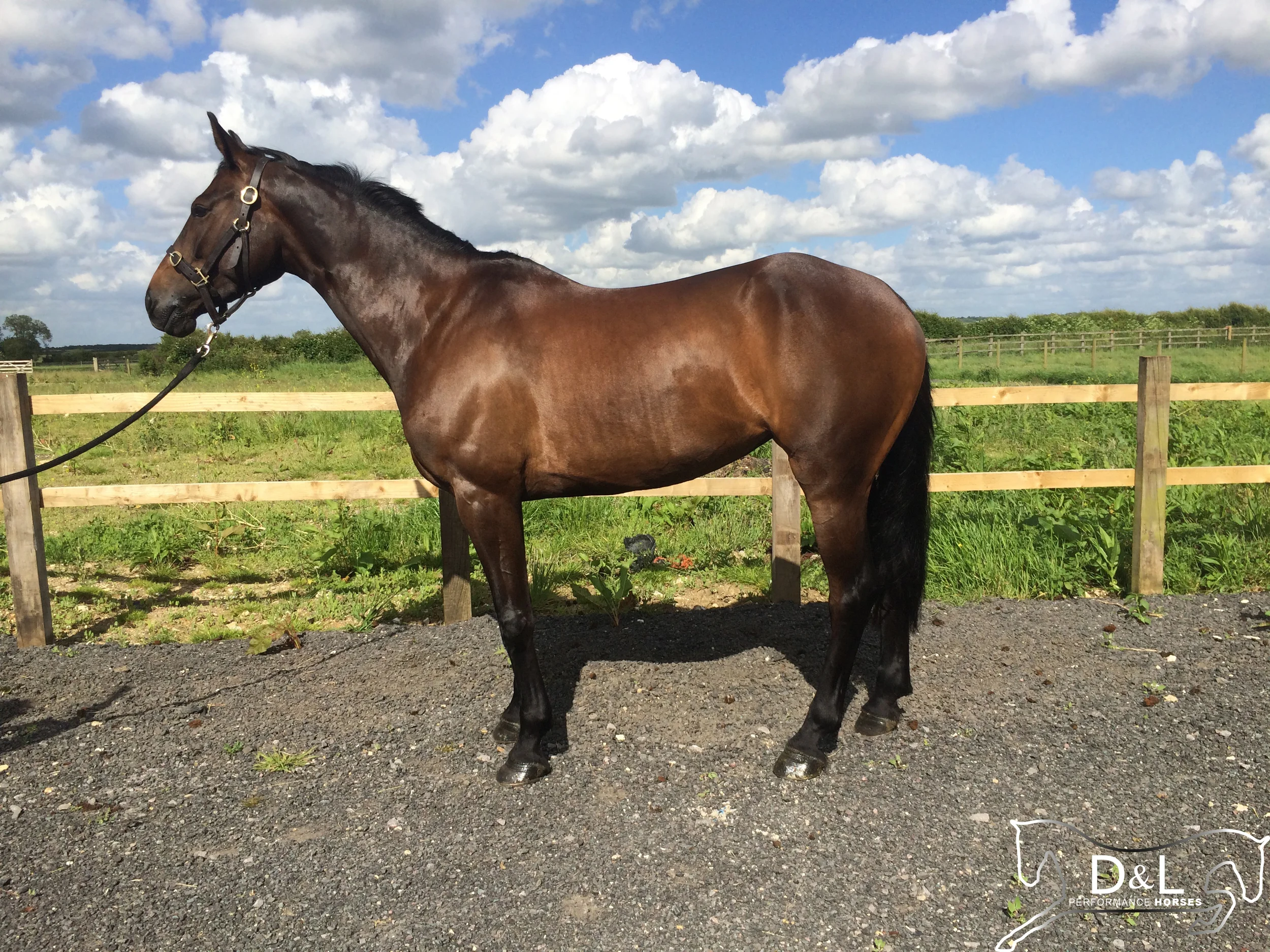 Enjoy Standing June 2014.jpg