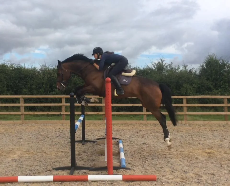 Gucci Jumping 2 Aug 16.jpg