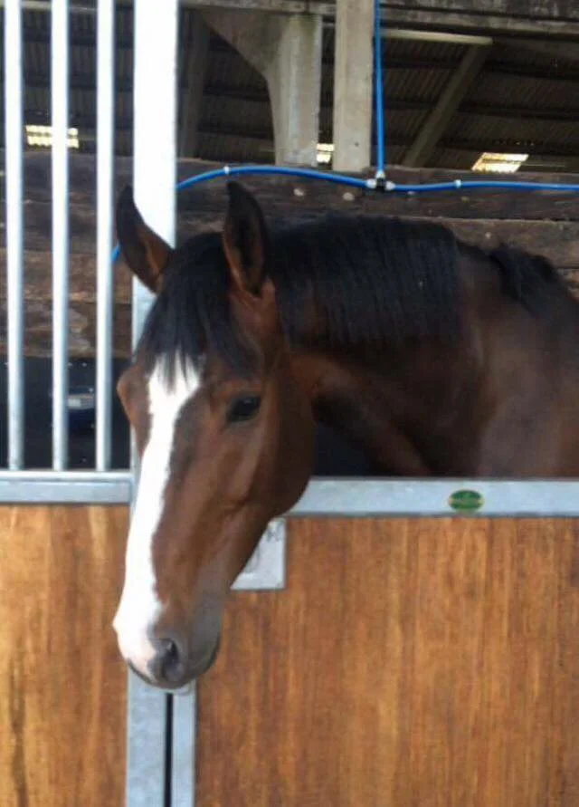 Gucci Headshot Aug 16.jpg