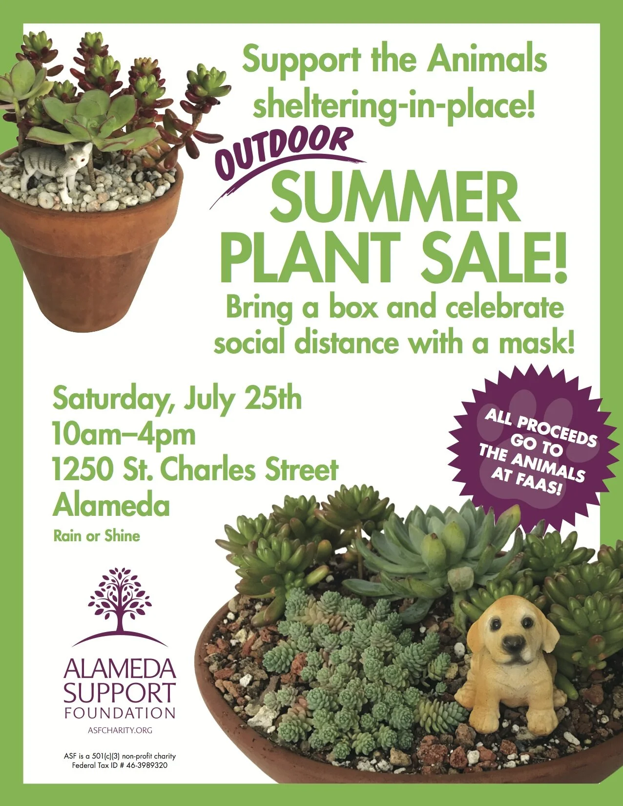 ASF’s Outdoor                    Summer Plant Sale                       to Benefit FAAS