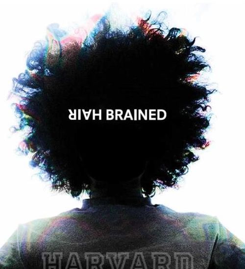 hairbrained.jpeg