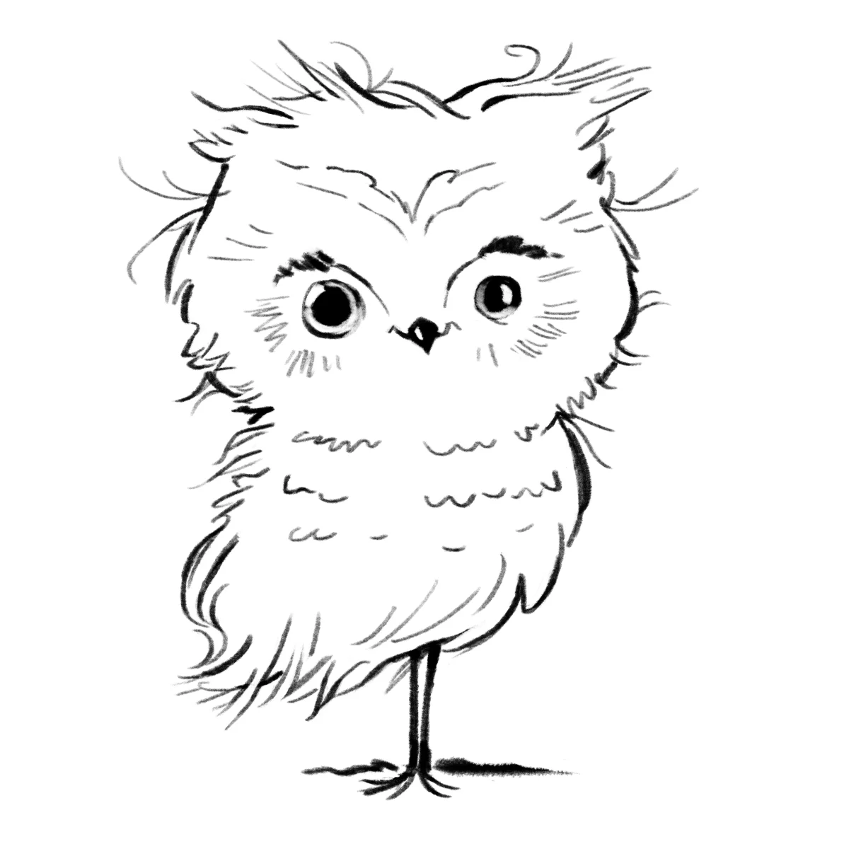 010_Knookerdoodle Illustrations_FINAL.jpg