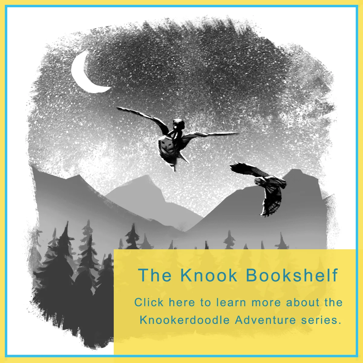 KnookBookShelf.jpg