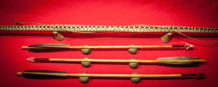 bullsnake - Copy - Copy.jpg