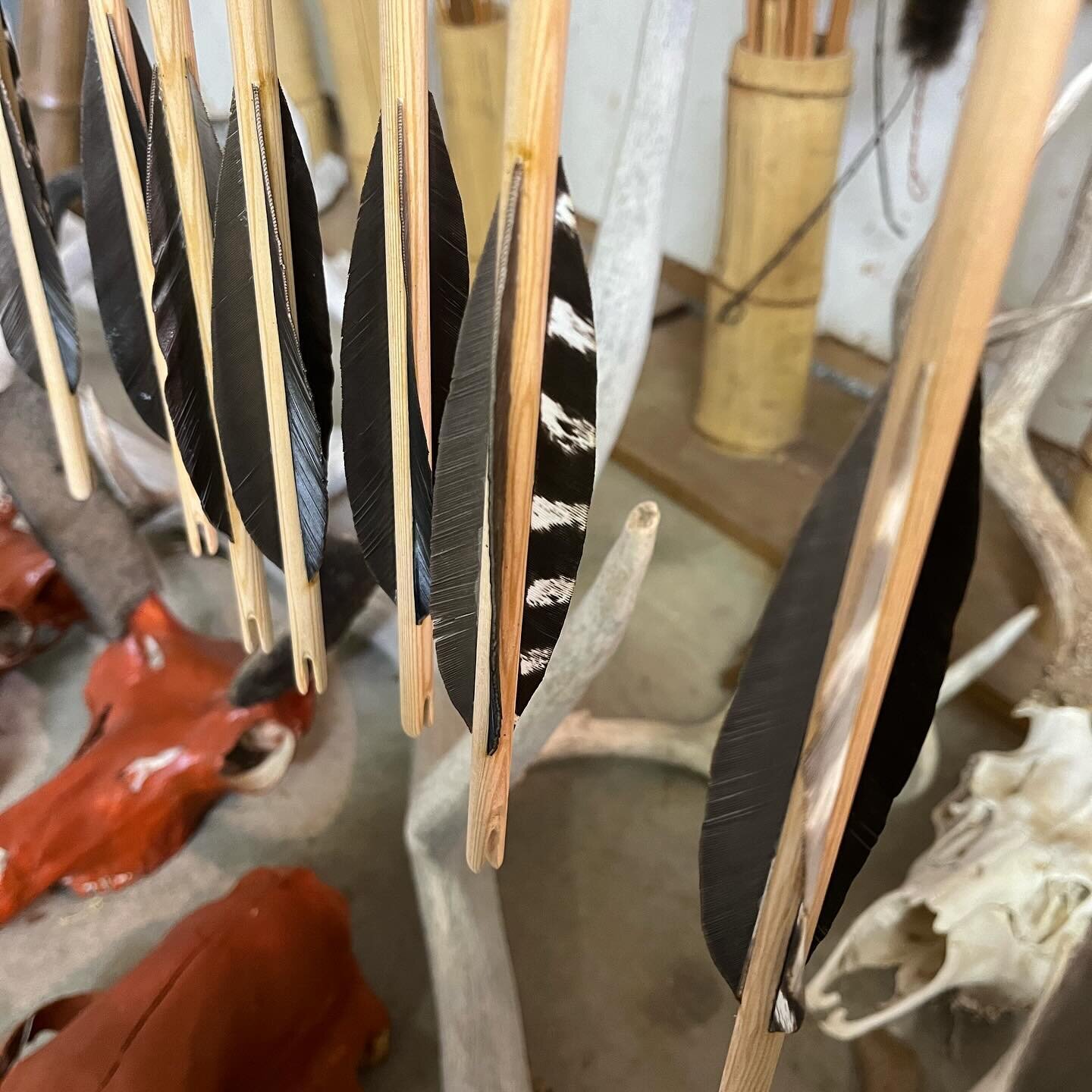 Arrows on the way&hellip;. 

#vikiesbowsandarrows #arrows #arrowmaker #arrowsmith #bowmaker #bowyer #bowandarrow #bowshooting #bowmaking #bowhunting #longbow #selfbow #bushcraft #ancestralskills #woodsman #outdoors