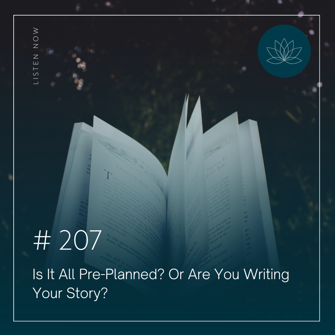 Is It All Pre-Planned? Or Are You Writing Your Story?