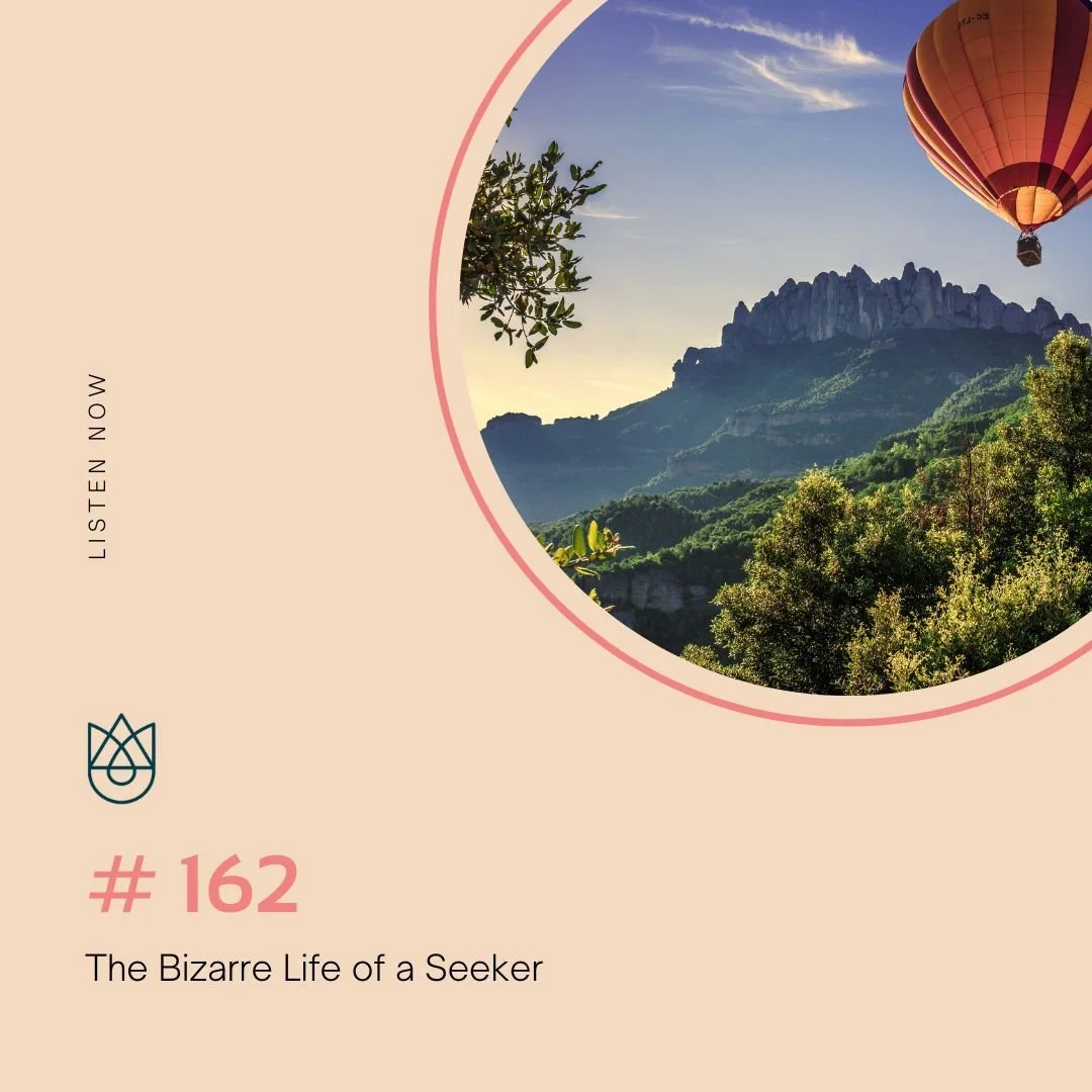 The Bizarre Life of a Seeker