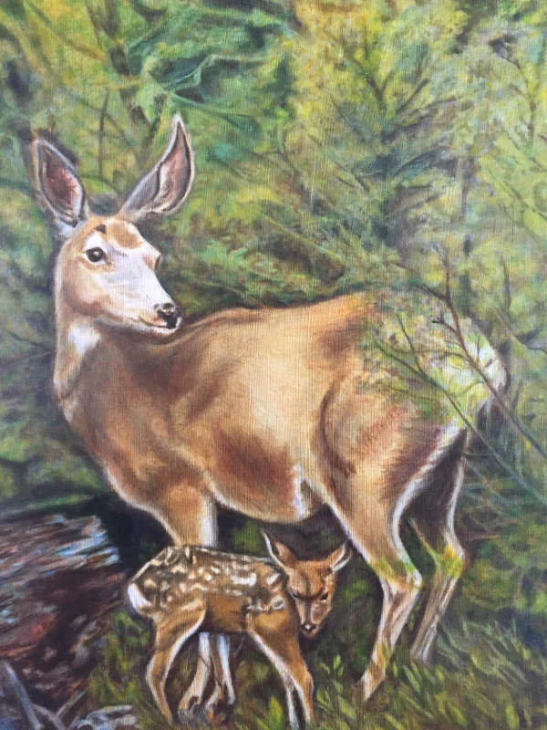 Deer and Fawn, oil paint, by Nancy Lee