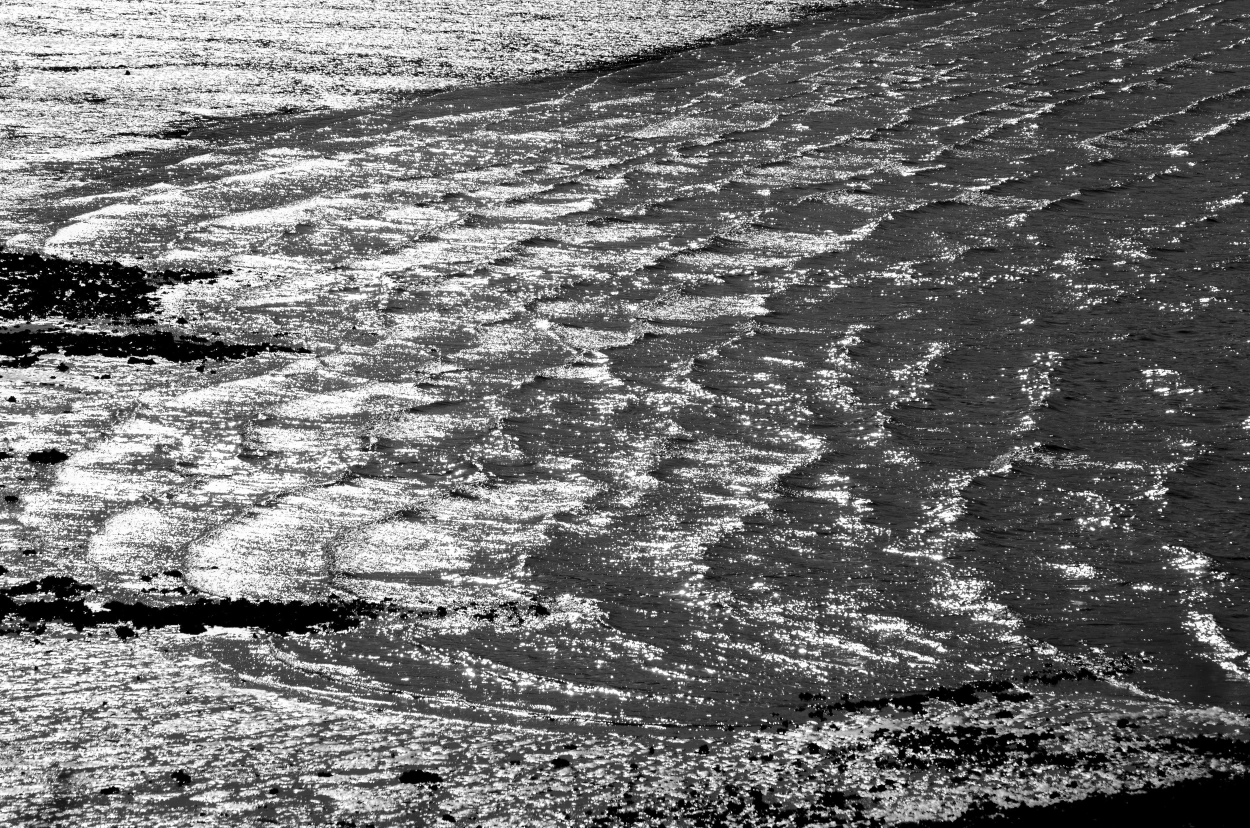 DSC_5019_01 copy.jpg