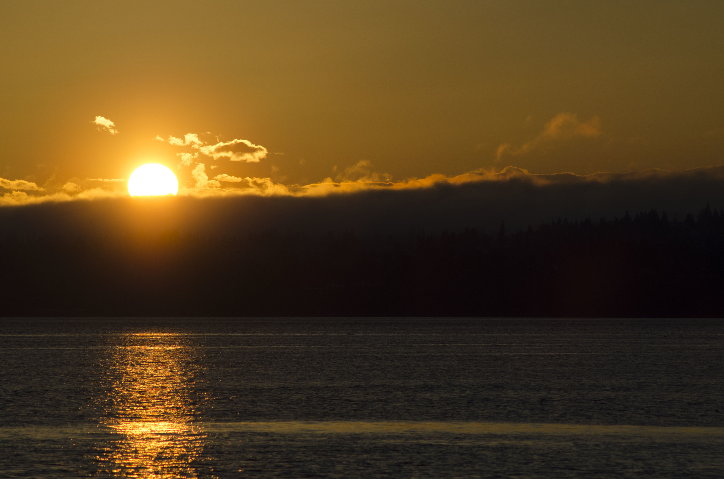DSC_1199.jpg