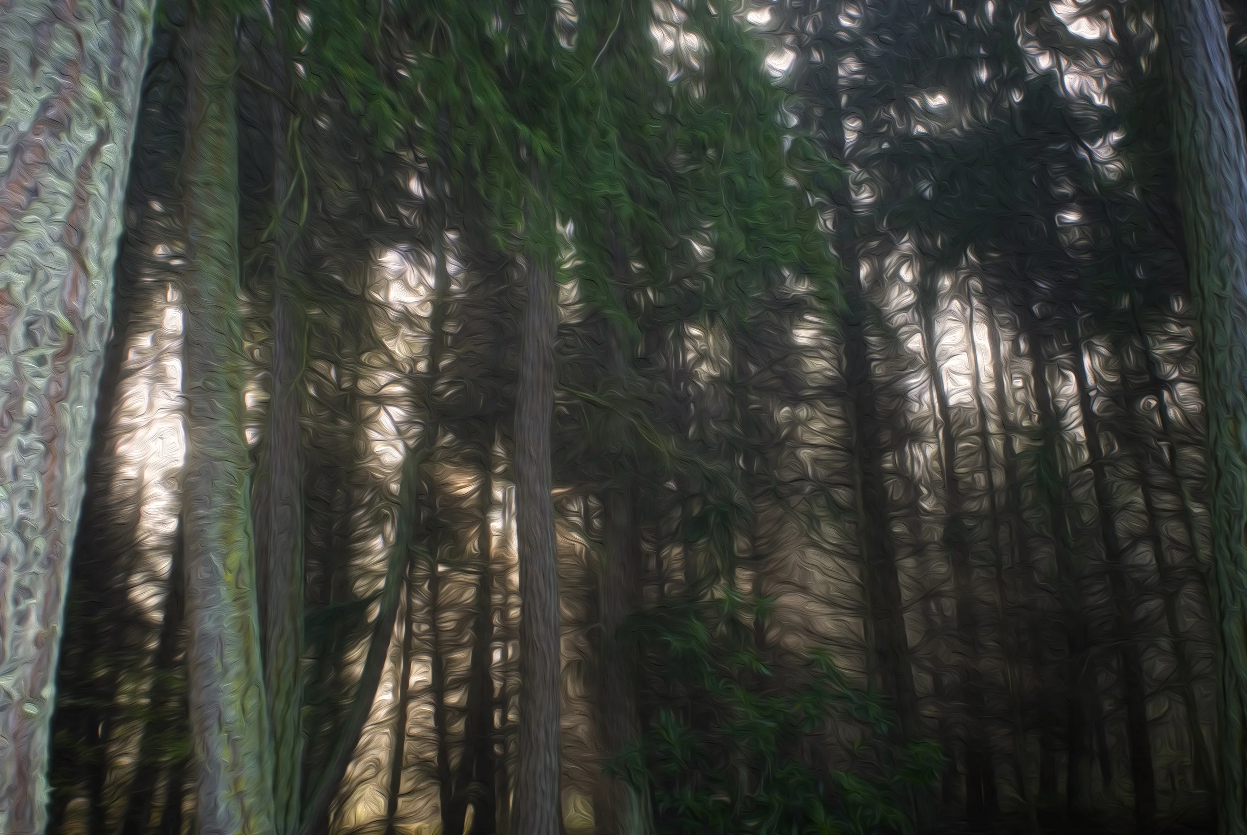 DSC_0024 -66 copy.jpg