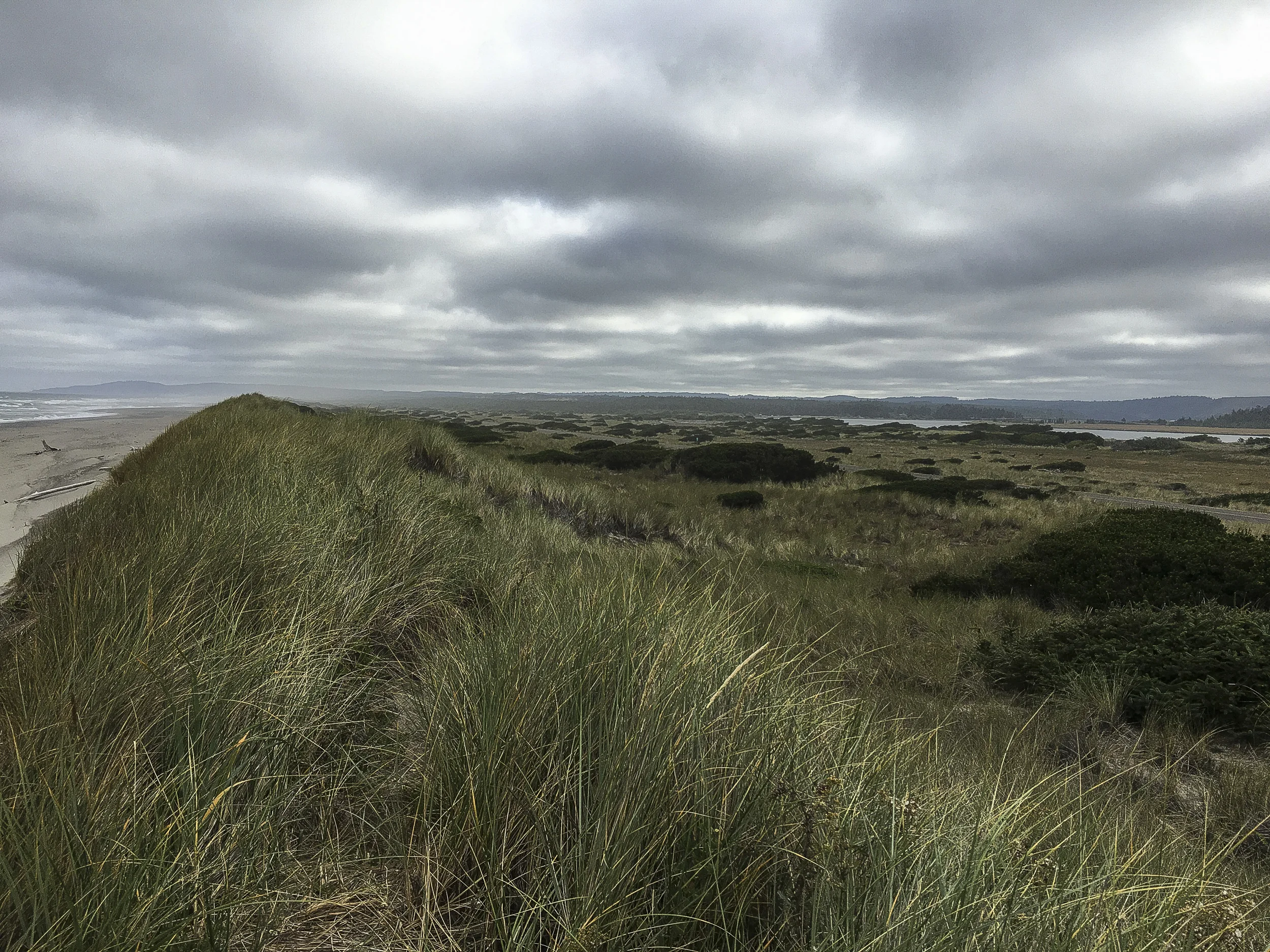 Oregon Dunes