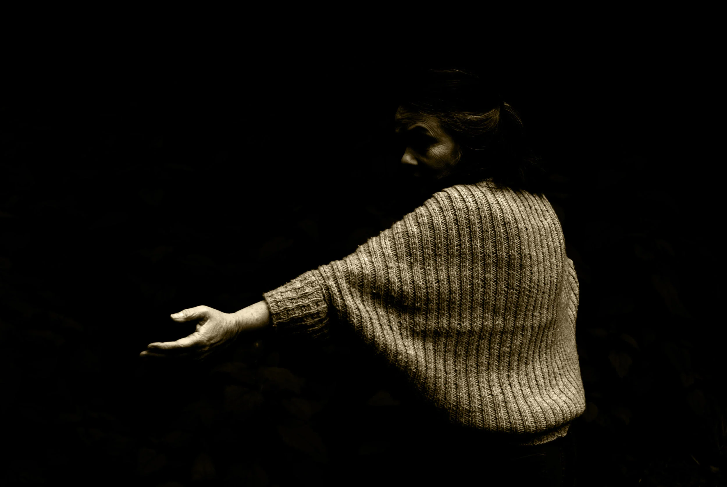 DSC_0043-6-3 copy.jpg