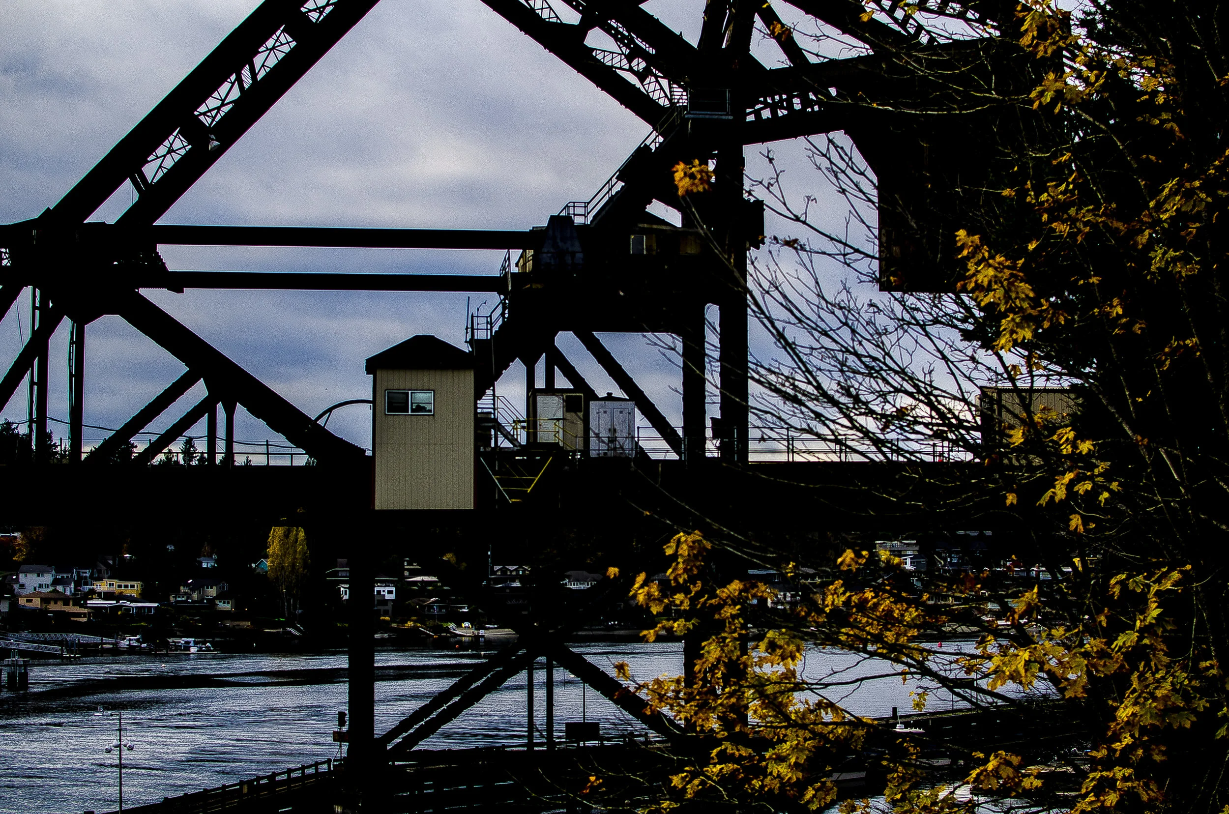 Ballard Locks
