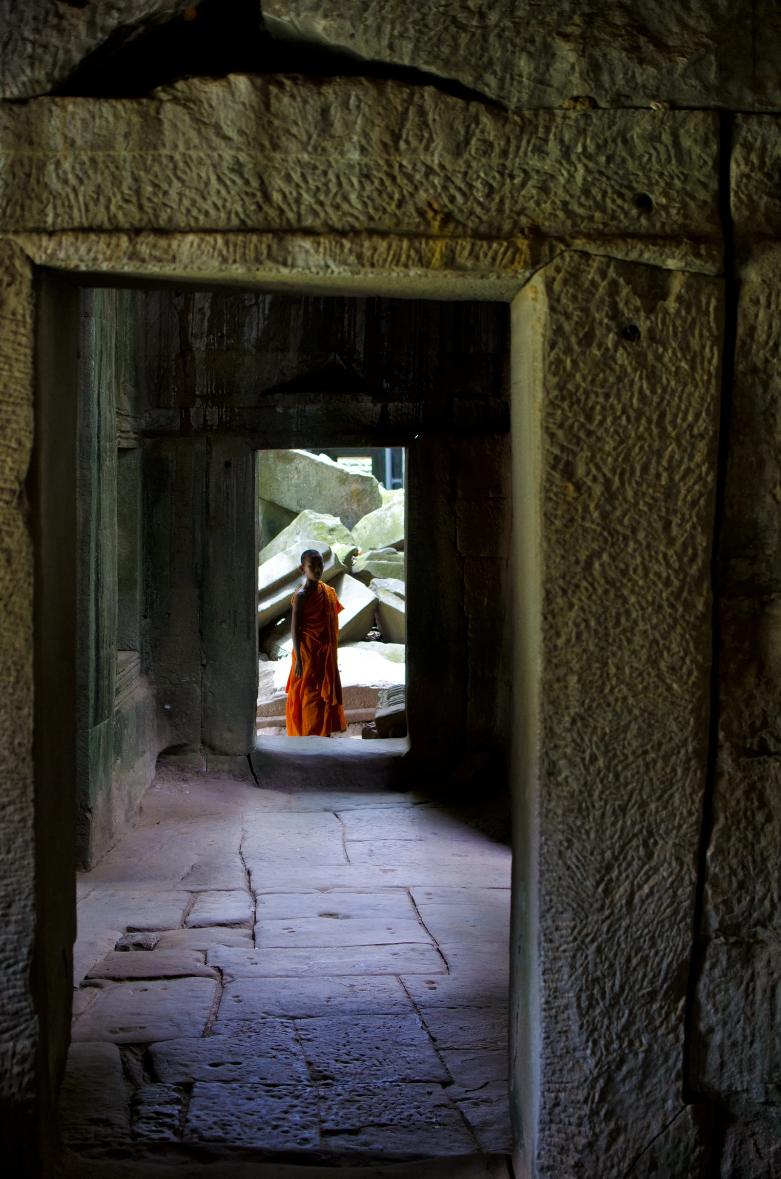 27422-1209217-Small_MonkS.jpg