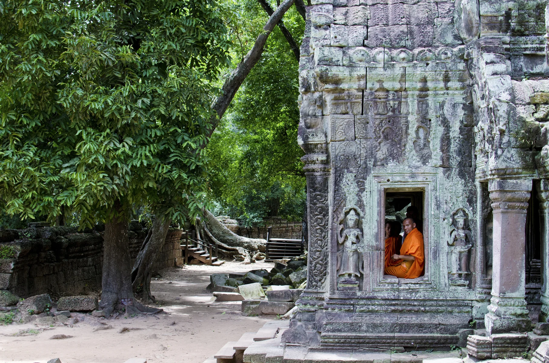 27422-1209244-Window_MonkS.jpg