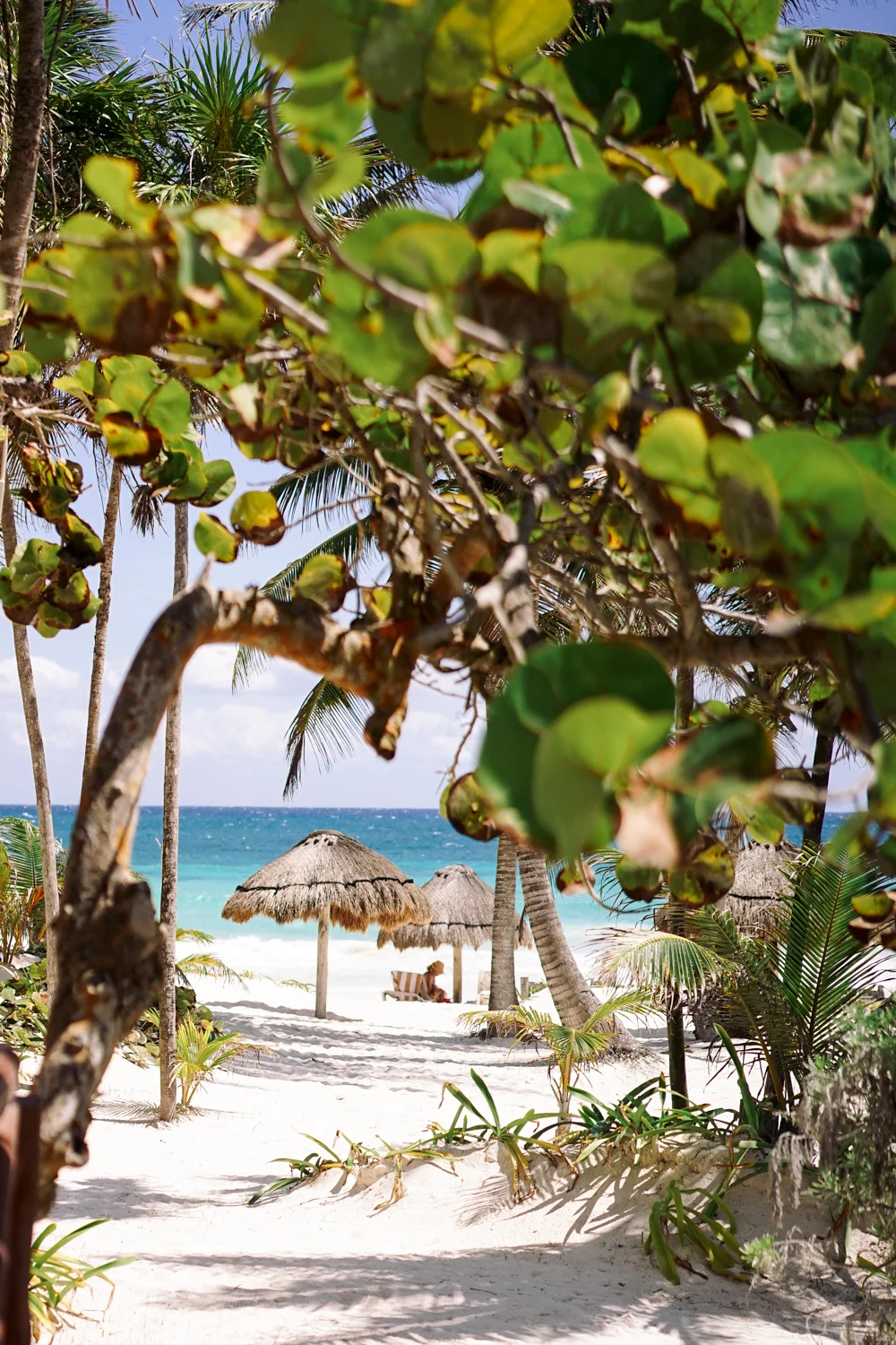 Tulum 2-07798.jpg