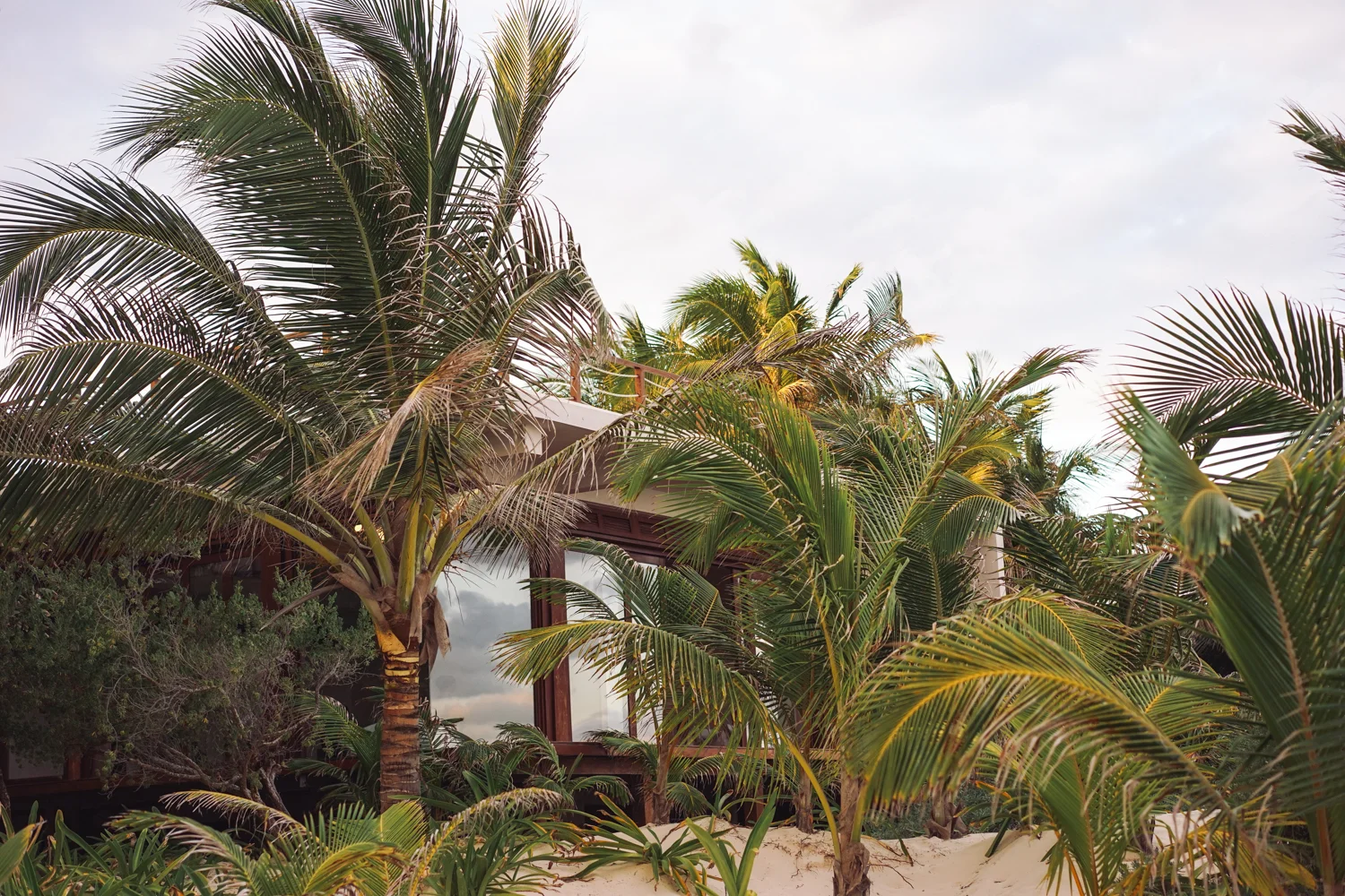 Tulum 2-07873.jpg