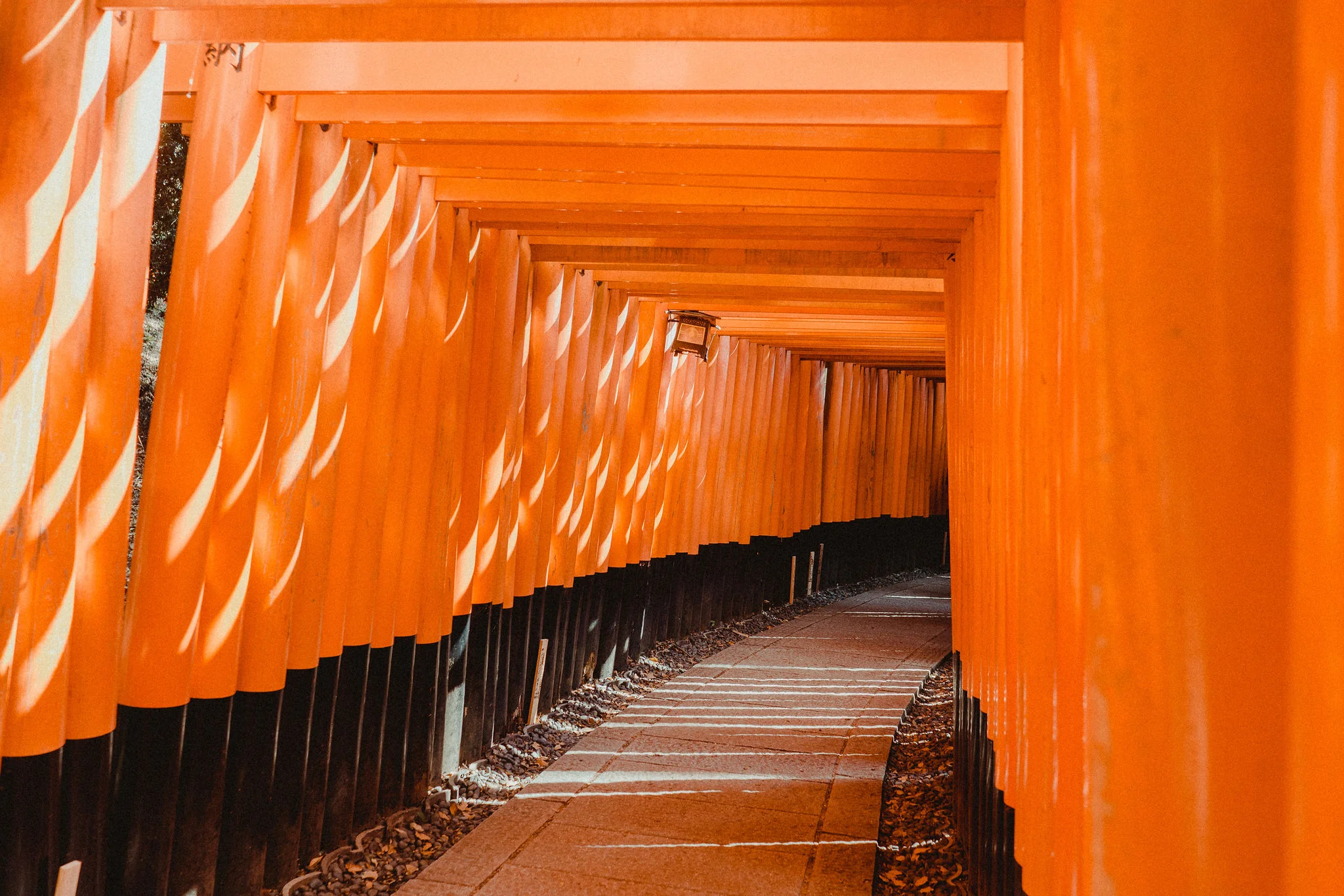 kyoto1.jpg