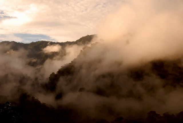 1_Forest_near_Rio_Verde_1.JPG