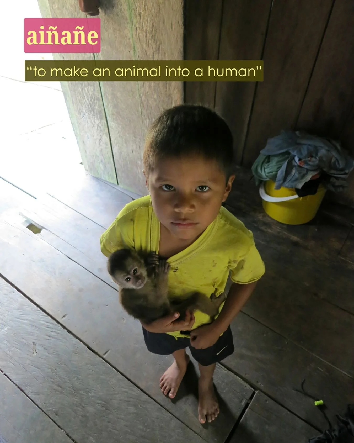 A young boy in the community of Z&aacute;balo holds his treasured capuchin monkey. Many Cof&aacute;n homes are filled with wildlife that have become members of the family, doing virtually everything that people do. In their language of A&rsquo;ingae,