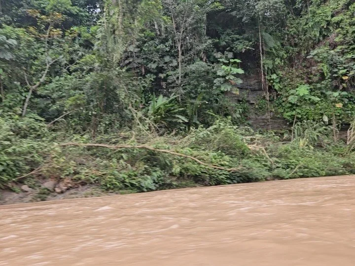 Traveling up the Bermejo River in a canoe after a community meeting. The Bermejo River is located in the Cofan Bermejo Ecological Reserve, a natural reserve bordering Colombia that comprises parts of Cofan land. The reserve is recognised for its biod