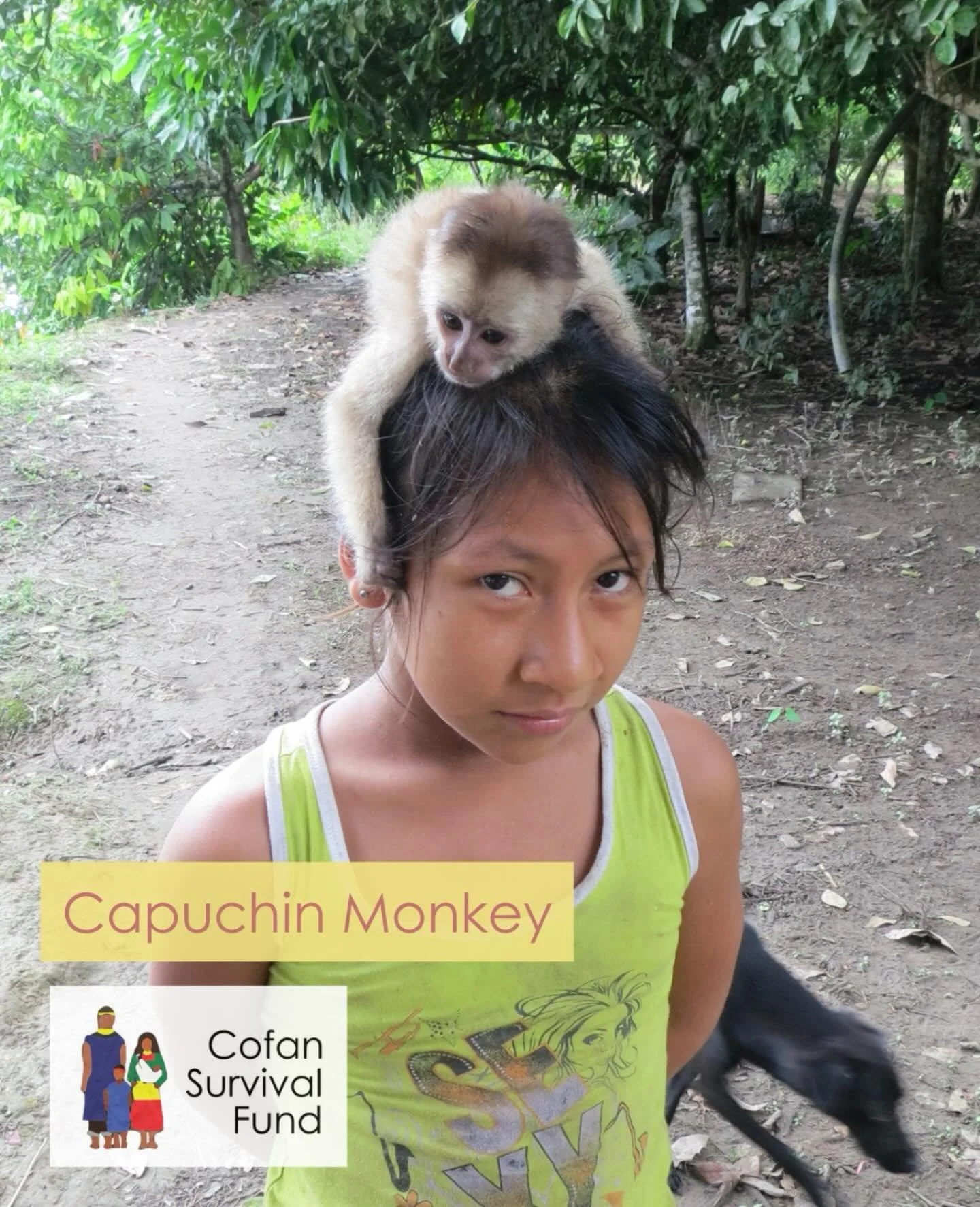 Cof&aacute;n children grow up with deep connections to the natural environments, with an understanding that they are a part of nature, not separate from it. Living in community with the forest is a normal part of Cof&aacute;n existence. As colonizers