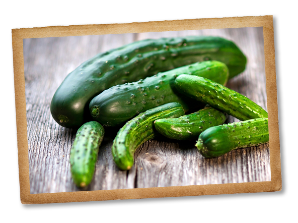 cucumber.png