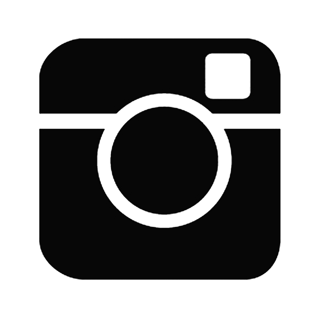 Instagram Icon