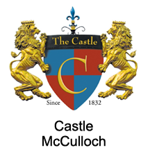 Castle Icon